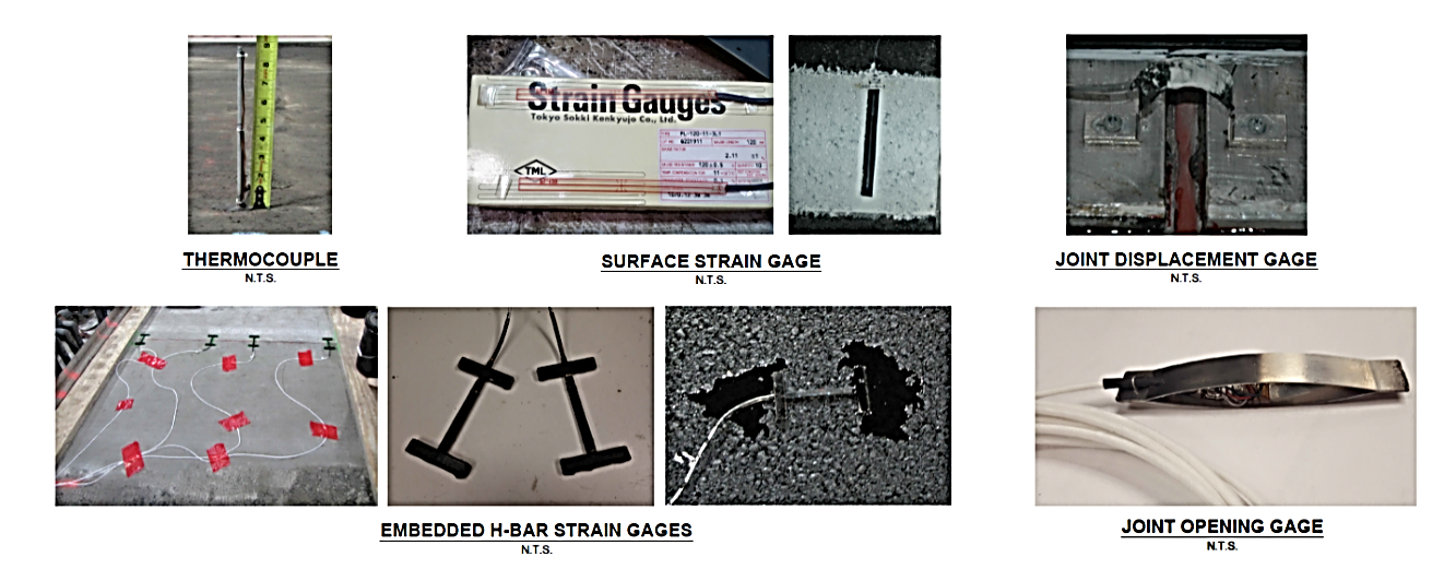 RCOP2 Img8637776131595341409 RCOP2 Img8637776131595341409